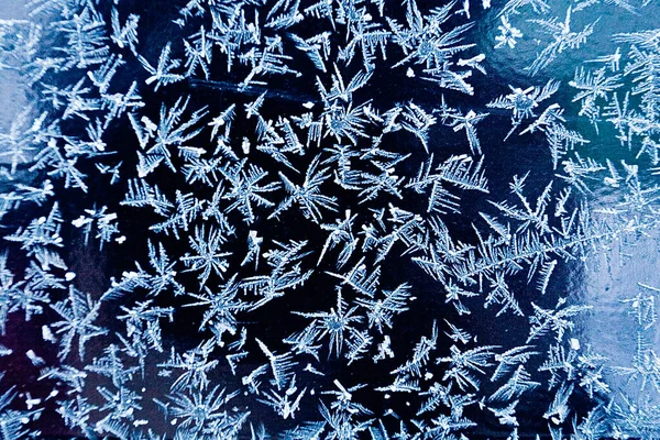 Schneeflocken Auf Dunklem Hintergrund — Stockfoto