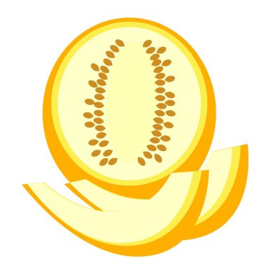 Olgun yarım kavun ve iki dilim yalıtılmış, vektör.