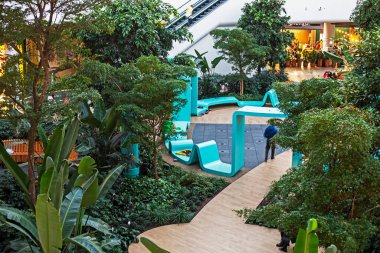 Rahatlatıcı ve yeşil bitkileri olan bir alışveriş merkezinde modern bir iç mekan. Yukarıdan görünüm