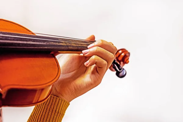 left hand of a young violinist on the strings on a student\'s violin on a light background. Musical education