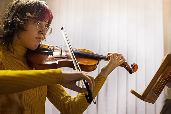 girl teenager violinist in glasses plays the violin with notes. Musical education