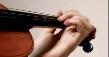 close-up of the left hand of a young violinist practicing on a student's violin on a light background. education