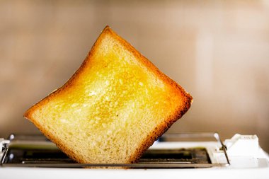 close-up of a hot slice of toasted white bread in a toaster in the kitchen. Horizontal
