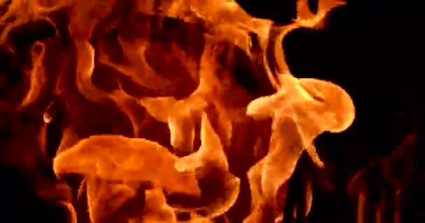 暗い背景での火の炎からの美しいお祝いの背景 — ストック動画