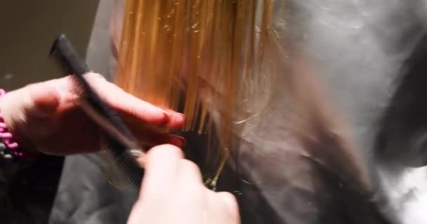 Detailní Záběr Kadeřníka Zastřihuje Mokré Konce Tmavých Blond Vlasů Ostříhání — Stock video
