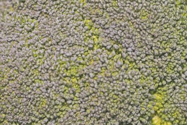 Lahana brokolisinden alınmış soyut yeşil arka plan. organik ürün