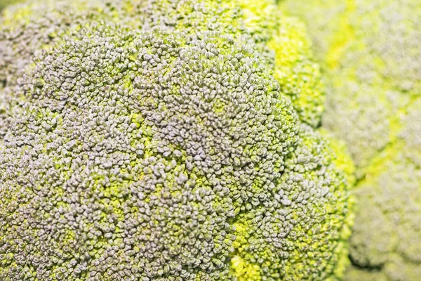 Wazig Abstracte Groene Achtergrond Van Kool Broccoli Close Biologisch Product — Stockfoto