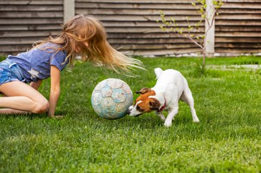 Uzun saçlı kızım Jack Russell Terrier 'la top oynadığı için mutluyum. aile hafta sonu