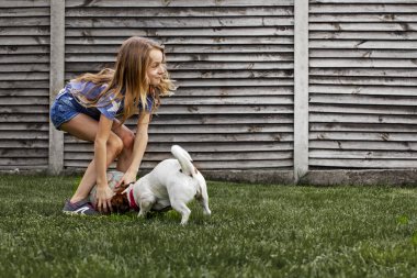  Uzun saçlı kız Jack Russell Terrier ile top oynuyor. aile hafta sonu