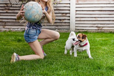  Uzun saçlı kız Jack Russell Terrier ile top oynuyor. aile hafta sonu