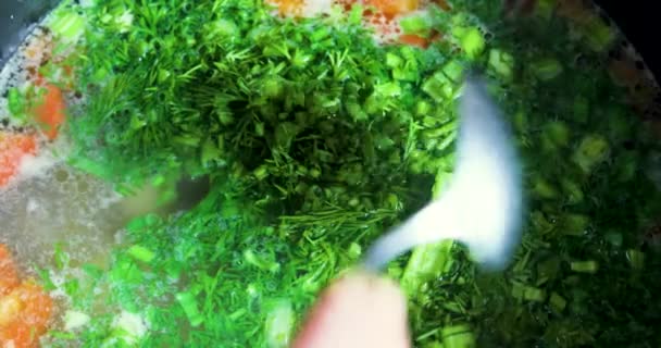 Kaşık Taze Dereotu Soğanları Tavuk Makarna Çorbasında Karıştırır Yatay — Stok video