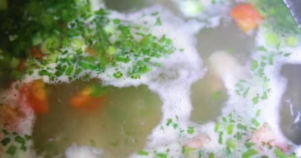 Sebze Bitkilerle Tavuk Çorbası Pişir Düz Çizgi — Stok video