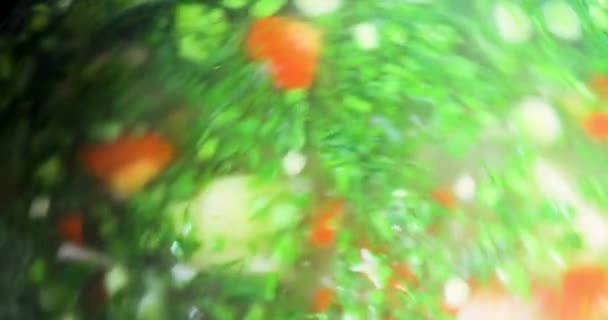 烹调时用勺子把蔬菜汤拌上意大利面 — 图库视频影像