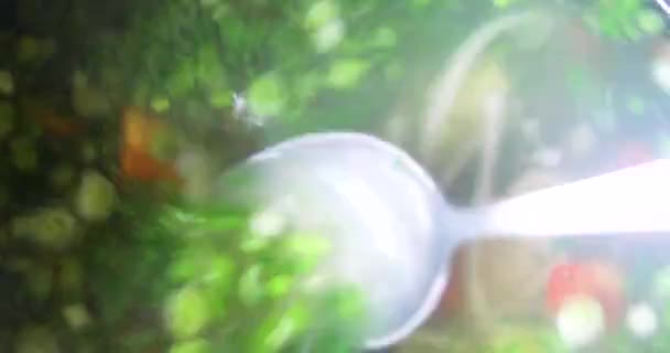 烹调时用一汤匙鸡汤和蔬菜搅拌 — 图库视频影像