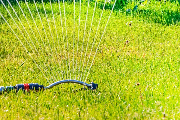 Alat Penyiram Taman Menyiram Rumput Dalam Cuaca Kering Pagi Hari — Stok Foto