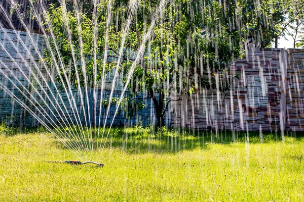 Alat Penyiram Taman Menyiram Buah Buahan Pagi Hari Taman Bertani — Stok Foto