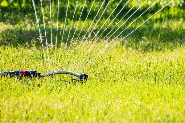 Alat Penyiram Taman Menyirami Rumput Pagi Hari Kebun Perawatan — Stok Foto