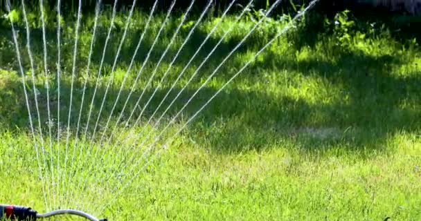 花园的洒水器打开了草坪上的草坪 — 图库视频影像