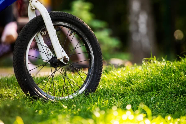 Akşam güneşiyle aydınlatılan bir çocuk bisikletinin tekerleğine yakın çekim. Bisiklet ve eğitim. turizm