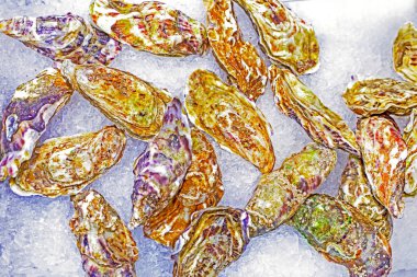 Serinletilmiş taze istiridyeler vitrinde buzun üzerinde yatıyor. Flatlay. Deniz ürünleri.