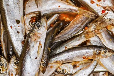 Pişmiş küçük ringa balığının arka planı. deniz ürünleri