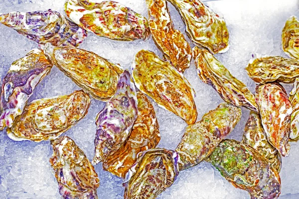 Gekühlte Frische Austern Liegen Auf Eis Einer Vitrine Flatlay Meeresfrüchte — Stockfoto