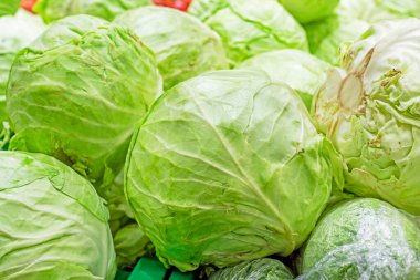 Taze beyaz lahananın arka planı. çiftçilik