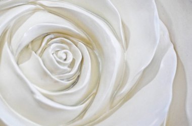 Çamurdan şekillendirilmiş gül çiçeğinin çekirdeğinin soyut ışık arkaplanı. iç dekorasyon