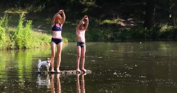 소녀와 동반자 테리어와 화창한 호수로 다리에서 — 비디오