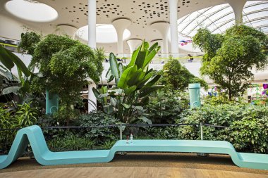 İçinde tropikal bahçe olan modern bir iç mekan. trend ve moda