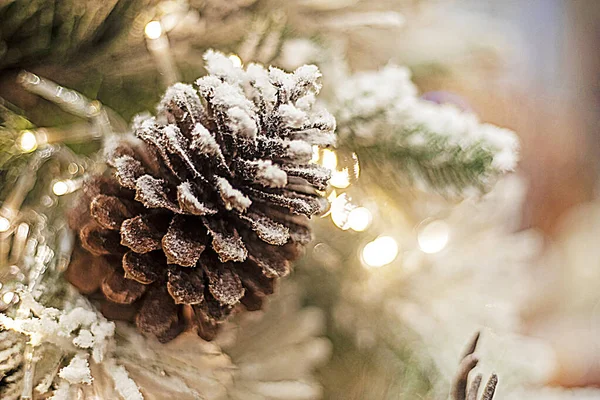 Cone Neve Árvore Natal Natal Festivo Fundo — Fotografia de Stock