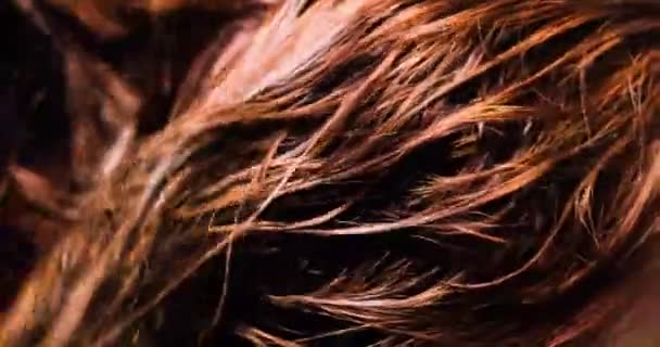 Сухе Червоне Волосся Рушником Після Фарбування Миття — стокове відео