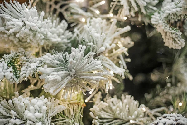 雪で覆われたクリスマスツリーで作られたクリスマスの背景 — ストック写真