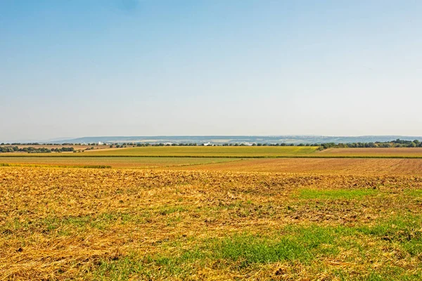 Schöne Landschaft Mit Trockenem Gras Und Blauem Himmel Mittag Ökologie — Stockfoto