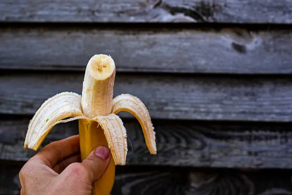 Trzymaj Ugryziony Kawałek Dojrzałego Banana Dłoni Tle Drewnianego Ogrodzenia — Zdjęcie stockowe