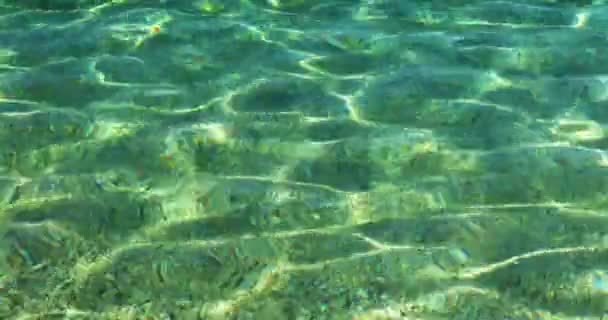 Güneşli Bir Günde Güzel Soyut Mavi Deniz Tabanı — Stok video