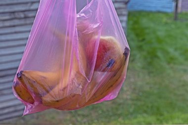 Muzları tek kullanımlık plastik poşette saklayın. Çevre bilimcileri. Mağazadan alışveriş.