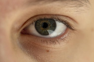 macro image of a human eye of a teenager with gray-green pigment, horizontal