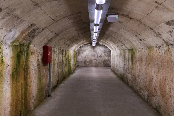 Savaşlar sırasında bombalı holokotlar için tarihi bir tünel. Ukrayna ve İsrail 'den destek