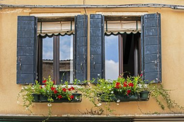 Venedik 'te sardunya çiçekleri olan balkonlu güzel eski pencereler.