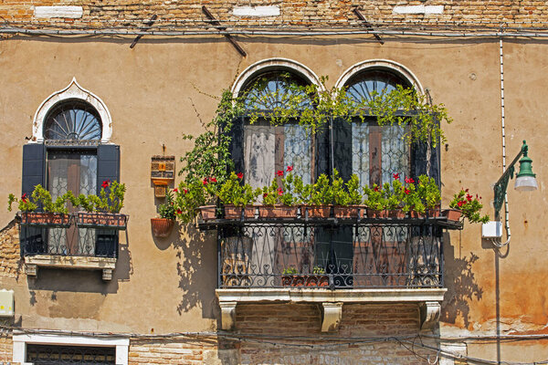Beautiful old windows with a balcony with fresh geranium flowers in Venice