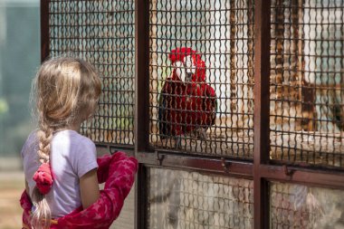 Papağanın yanındaki kuş kafesinde bir kız. Nadir kuşların korunması