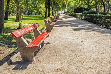 Güneşli bir günde parkta boş kırmızı ahşap banklar. Avrupa gezisi