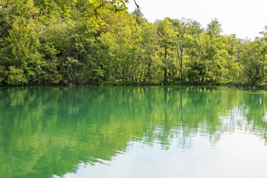 Güzel Plitvice gölleri, sonbaharda bulutlu bir günde düşmüş engebelerle. Avrupa 'yı dolaşmak
