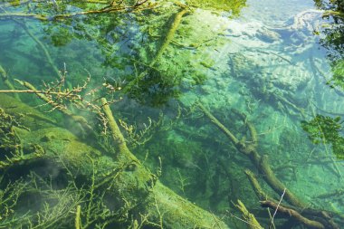 Sonbaharda bulutlu bir günde Plitvice gölünde kireçtaşı tabanı. Avrupa 'yı dolaşmak