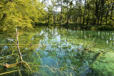 Sonbaharda bulutlu bir günde Plitvice gölünde kireçtaşı tabanı. Avrupa 'yı dolaşmak