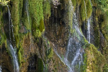 Plitnicke Gölünde kireçtaşı şelalesi. Avrupa 'yı dolaşmak