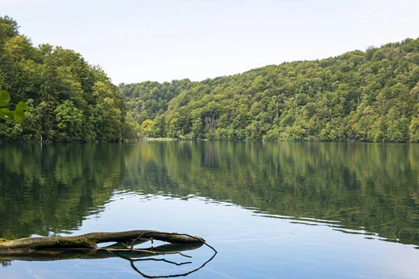 Plitvice gölleri sonbaharda bulutlu bir günde süzülen dallarla doludur. Avrupa 'yı dolaşmak
