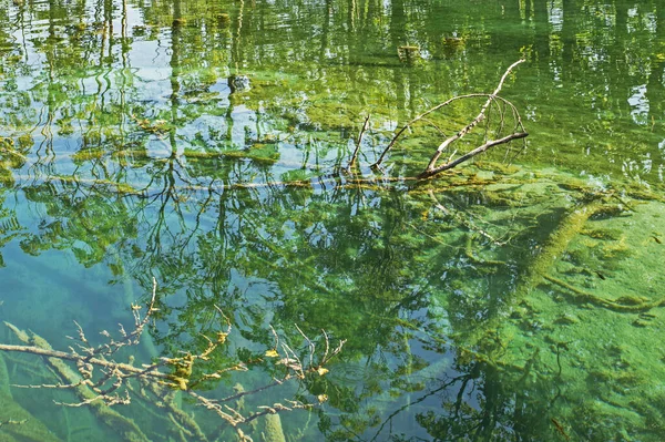 Sonbaharda bulutlu bir günde Plitvice gölünde kireçtaşı tabanı. Avrupa 'yı dolaşmak