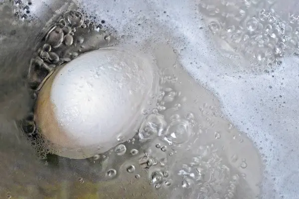 close-up of a chicken white egg boiled in boiled water